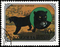 Mongolia 1979 Wild Cats-Stamps-Mongolia-StampPhenom