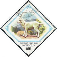 Mongolia 1982 Juvenile Animals-Stamps-Mongolia-StampPhenom