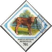 Mongolia 1982 Juvenile Animals-Stamps-Mongolia-StampPhenom