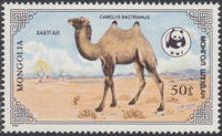 Mongolia 1985 Camels, WWF, World Wildlife Fund-Stamps-Mongolia-StampPhenom