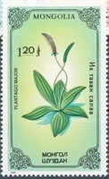 Mongolia 1985 Plants-Stamps-Mongolia-StampPhenom