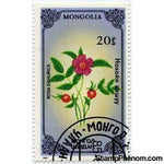 Mongolia 1985 Plants-Stamps-Mongolia-StampPhenom