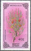 Mongolia 1986 Flowers-Stamps-Mongolia-StampPhenom