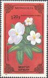 Mongolia 1986 Flowers-Stamps-Mongolia-StampPhenom