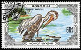 Mongolia 1986 Protected Animals - Pelican-Stamps-Mongolia-StampPhenom