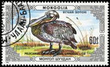 Mongolia 1986 Protected Animals - Pelican-Stamps-Mongolia-StampPhenom