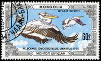 Mongolia 1986 Protected Animals - Pelican-Stamps-Mongolia-StampPhenom