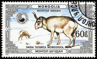 Mongolia 1986 Protected Animals - Saiga-Stamps-Mongolia-StampPhenom