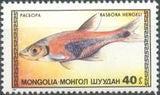 Mongolia 1987 Aquarium Fish-Stamps-Mongolia-StampPhenom