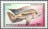 Mongolia 1987 Aquarium Fish-Stamps-Mongolia-StampPhenom