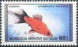 Mongolia 1987 Aquarium Fish-Stamps-Mongolia-StampPhenom