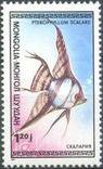 Mongolia 1987 Aquarium Fish-Stamps-Mongolia-StampPhenom