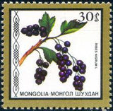 Mongolia 1987 Fruits-Stamps-Mongolia-StampPhenom