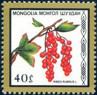 Mongolia 1987 Fruits-Stamps-Mongolia-StampPhenom