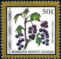 Mongolia 1987 Fruits-Stamps-Mongolia-StampPhenom