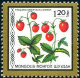 Mongolia 1987 Fruits-Stamps-Mongolia-StampPhenom