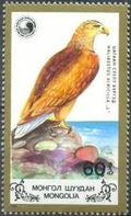 Mongolia 1988 White Tailed Sea Eagle-Stamps-Mongolia-StampPhenom