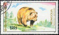 Mongolia 1989 Bears-Stamps-Mongolia-StampPhenom