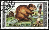 Mongolia 1989 Beavers-Stamps-Mongolia-StampPhenom