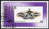 Mongolia 1990 Butterflies-Stamps-Mongolia-StampPhenom