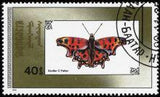 Mongolia 1990 Butterflies-Stamps-Mongolia-StampPhenom