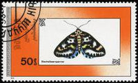 Mongolia 1990 Butterflies-Stamps-Mongolia-StampPhenom