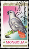 Mongolia 1990 Parrots-Stamps-Mongolia-StampPhenom