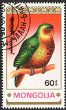 Mongolia 1990 Parrots-Stamps-Mongolia-StampPhenom