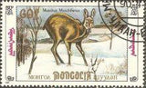 Mongolia 1990 Siberian Musk Deer-Stamps-Mongolia-StampPhenom