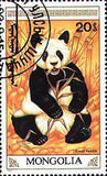 Mongolia 1990 The Giant Panda-Stamps-Mongolia-StampPhenom