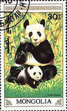 Mongolia 1990 The Giant Panda-Stamps-Mongolia-StampPhenom