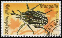 Mongolia 1991 Beetles-Stamps-Mongolia-StampPhenom