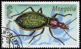 Mongolia 1991 Beetles-Stamps-Mongolia-StampPhenom