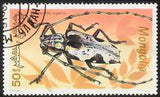 Mongolia 1991 Beetles-Stamps-Mongolia-StampPhenom