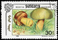 Mongolia 1991 Fungi-Stamps-Mongolia-StampPhenom