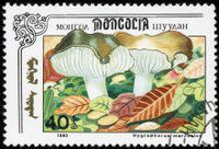 Mongolia 1991 Fungi-Stamps-Mongolia-StampPhenom