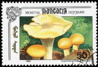 Mongolia 1991 Fungi-Stamps-Mongolia-StampPhenom