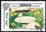 Mongolia 1991 Fungi-Stamps-Mongolia-StampPhenom