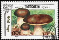 Mongolia 1991 Fungi-Stamps-Mongolia-StampPhenom