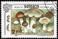 Mongolia 1991 Fungi-Stamps-Mongolia-StampPhenom