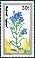 Mongolia 1991 Mountain Flowers-Stamps-Mongolia-StampPhenom