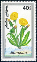 Mongolia 1991 Mountain Flowers-Stamps-Mongolia-StampPhenom