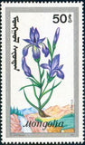 Mongolia 1991 Mountain Flowers-Stamps-Mongolia-StampPhenom