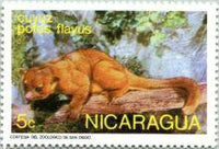 Nicaragua 1974 Wild Animals