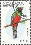 Nicaragua 1981 Airmail - Birds