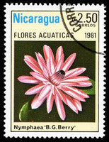 Nicaragua 1981 Aquatic Flowers