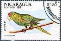 Nicaragua 1981 Birds