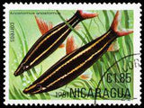 Nicaragua 1981 Tropical Fish