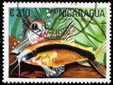 Nicaragua 1981 Tropical Fish