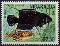 Nicaragua 1981 Tropical Fish